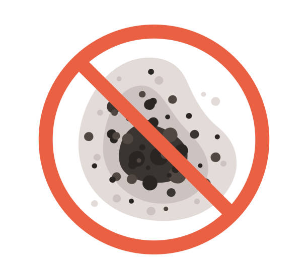Biohazard Mold Removal in Willacoochee, GA